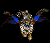 human-gryphon-anim